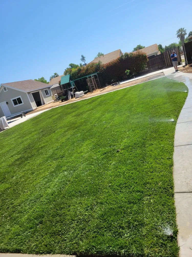 Local lawn care service in Citrus Heights, CA - Salvador tractor services