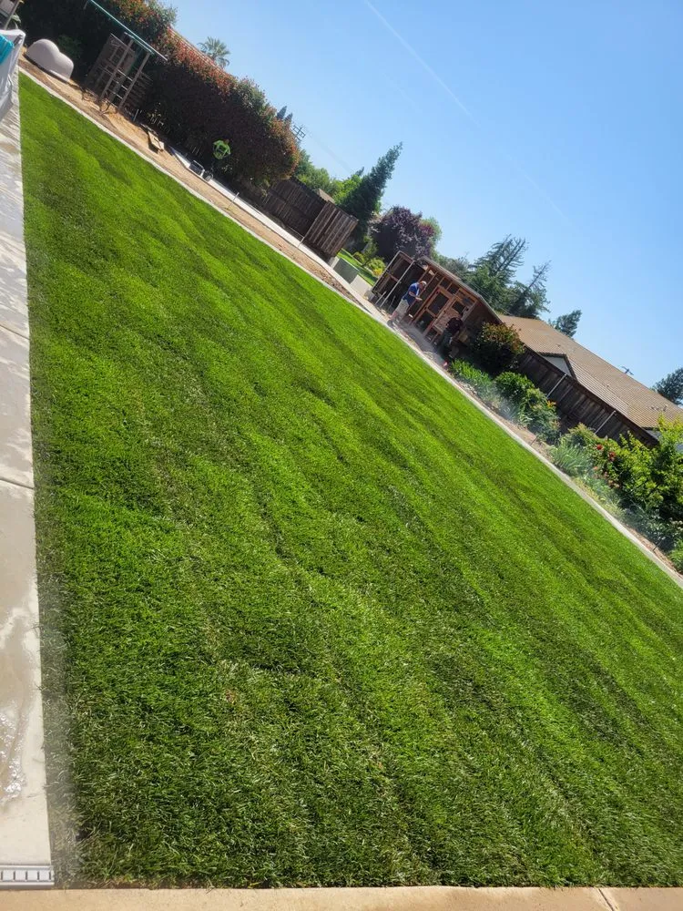 Affordable garden landscaping for outdoor upgrades across Citrus Heights, CA - Salvador tractor services