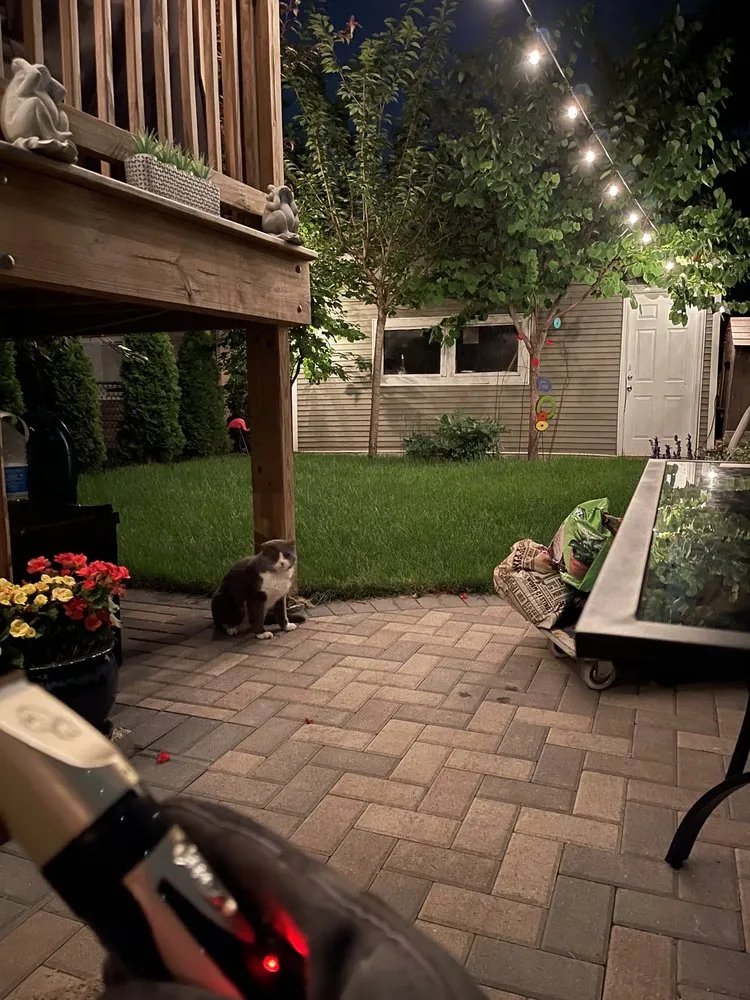 Local lawn care service for year-round maintenance across Chicago, IL - Salvador's Landscaping