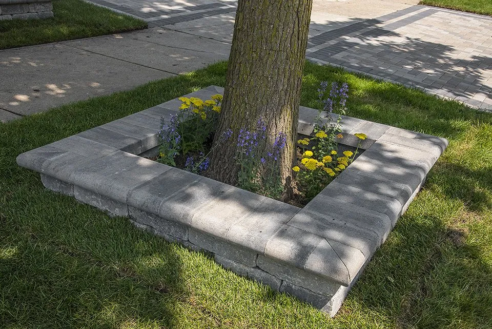 Affordable yard cleanup service for year-round maintenance across Chicago, IL - Salvador's Landscaping