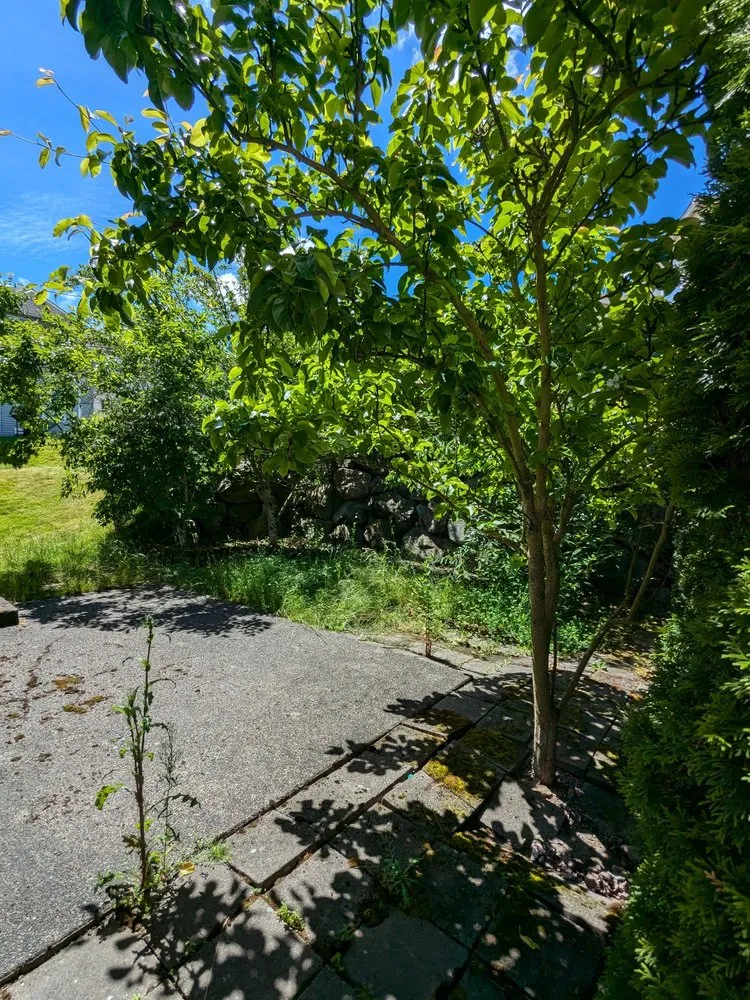 Local residential landscaping in Everett, WA by Salvador’s Landscaping