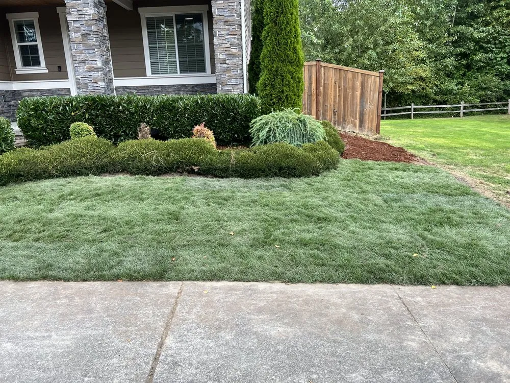 Reliable landscape design in Everett, WA by Salvador’s Landscaping