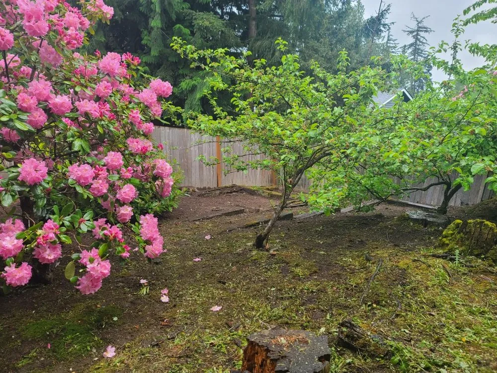 Trusted yard cleanup service with custom design in Everett, WA by Salvador’s Landscaping