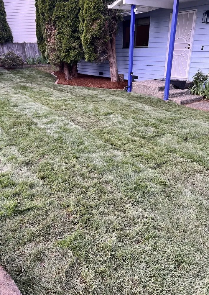 Top-rated landscape design in Everett, WA - Salvador’s Landscaping