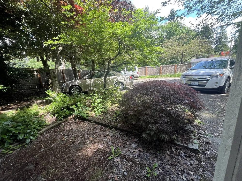 Trusted lawn mowing service experts serving Everett, WA - Salvador’s Landscaping