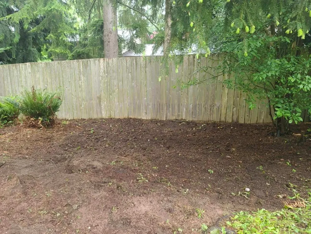 Top-rated outdoor landscaping experts serving Everett, WA - Salvador’s Landscaping