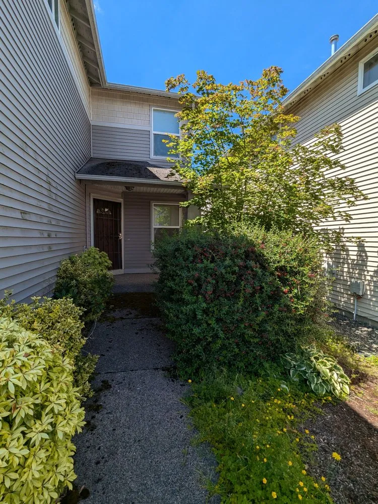 Local landscape installation in Everett, WA - Salvador’s Landscaping