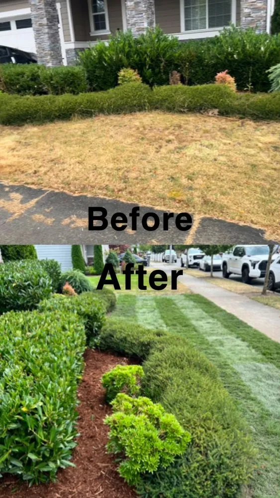 Local residential landscaping for beautiful yards in Everett, WA by Salvador’s Landscaping