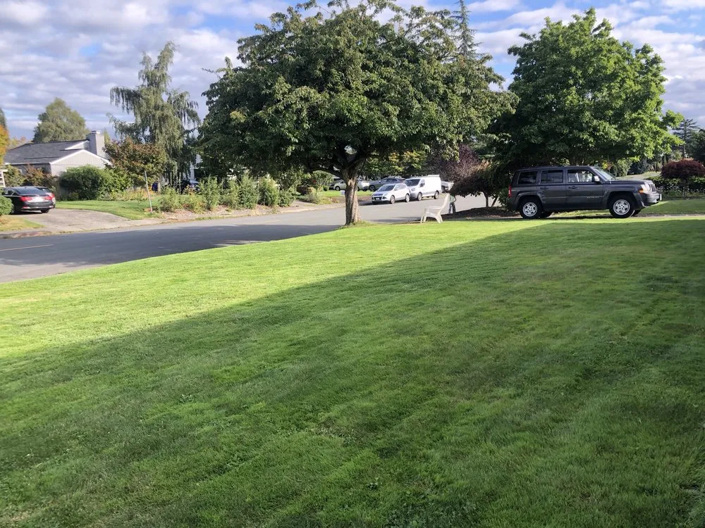 Expert yard cleanup service experts serving Everett, WA - Salvador’s Landscaping
