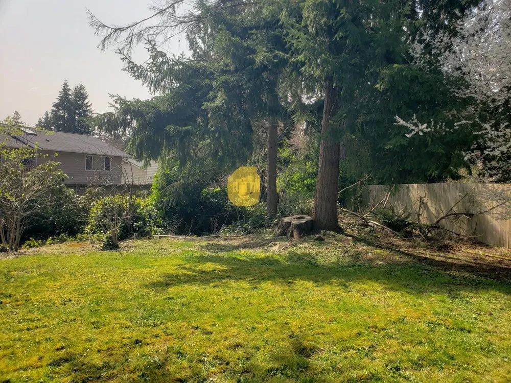 Trusted outdoor landscaping in Everett, WA by Salvador’s Landscaping