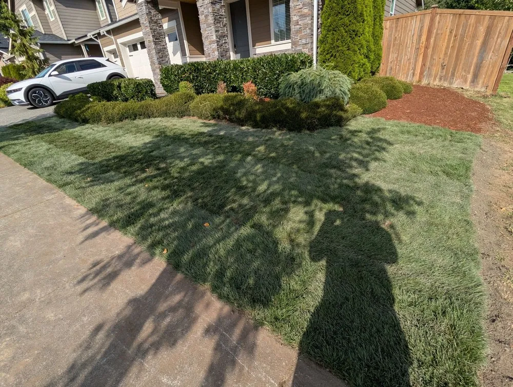 Reliable landscaping services in Everett, WA - Salvador’s Landscaping
