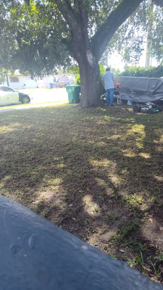 Custom landscape installation in Miami, FL by Salvador’s Landscaping