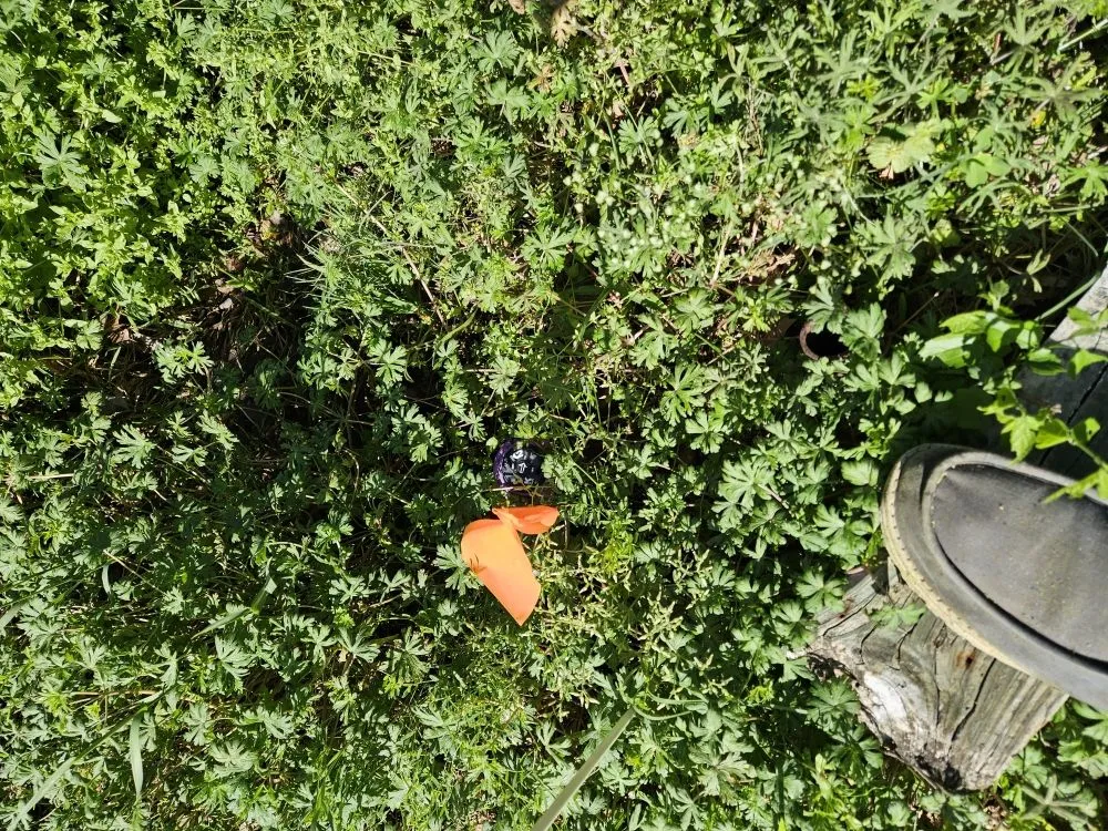 Professional outdoor landscaping in Kilgore, TX - Salvation Lawncare