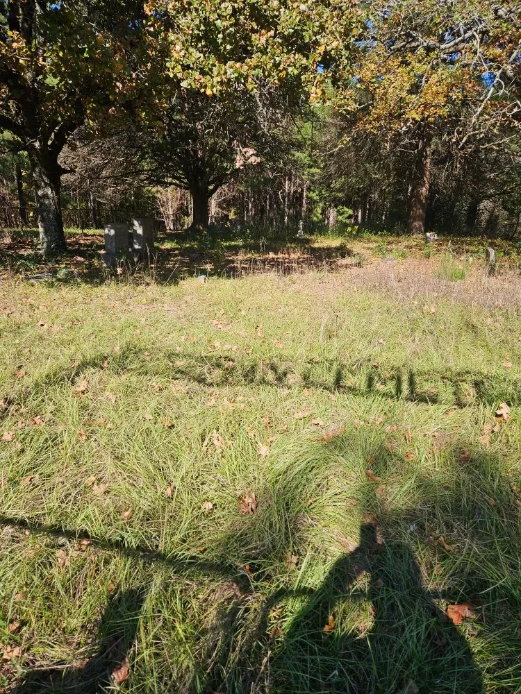 Reliable lawn mowing service for beautiful yards across Kilgore, TX - Salvation Lawncare