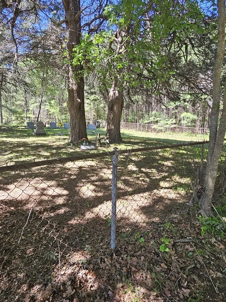 Trusted yard cleanup service in Kilgore, TX - Salvation Lawncare