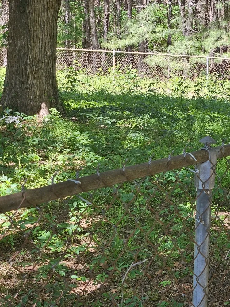 Affordable landscape installation in Kilgore, TX - Salvation Lawncare