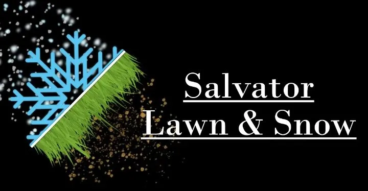 Custom landscaping services experts serving Ankeny, IA - Salvator Lawn & Snow