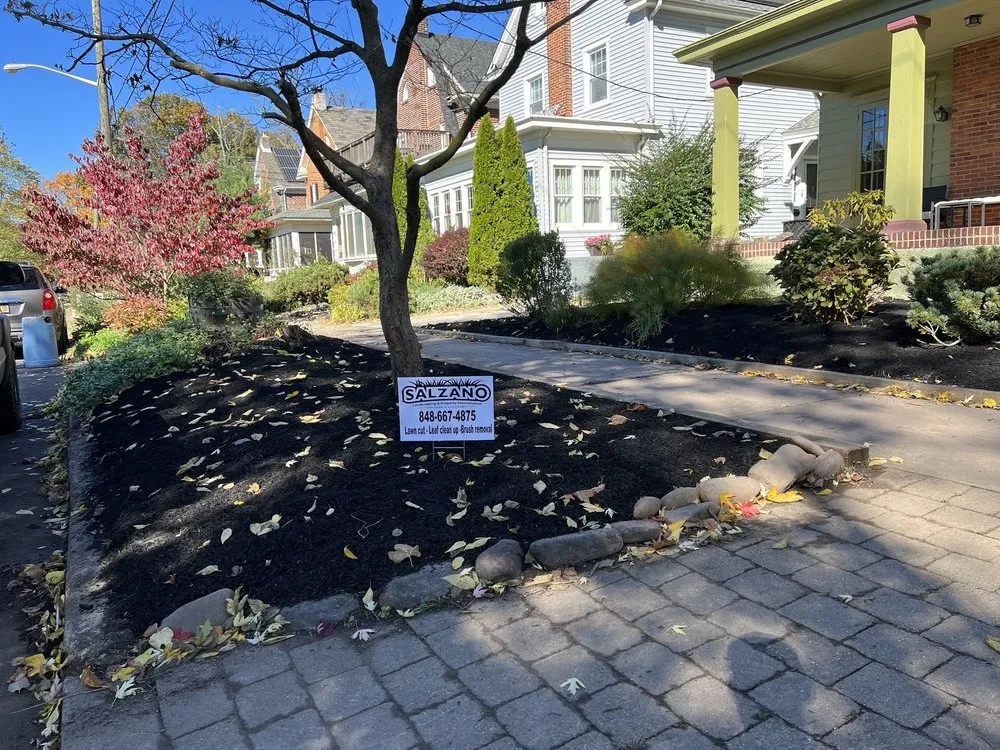 Expert yard cleanup service in Hamilton Township, NJ by Salzano Landscaping & Property Maintenance