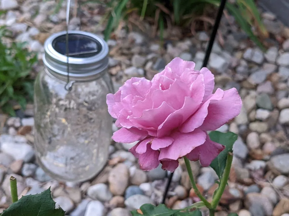 Custom lawn care service experts serving Niles, MI - Salzman Services