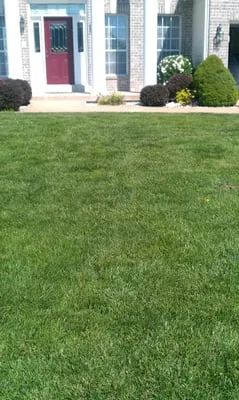Sam & Son's Lawn Care