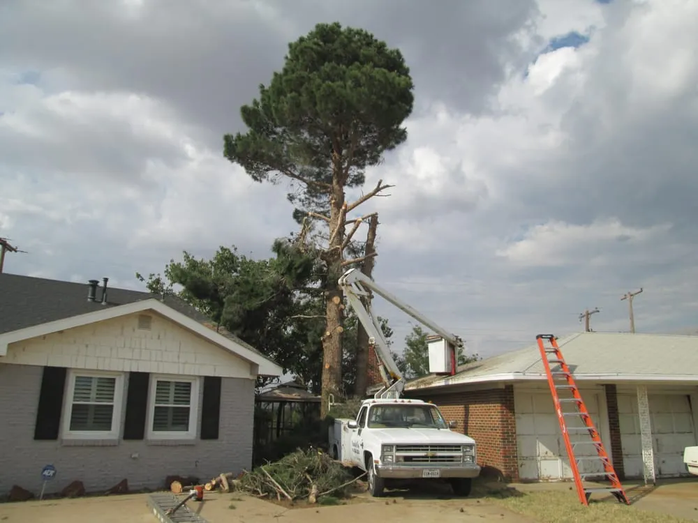 Trusted landscape installation experts serving Lubbock, TX - Sam and Co Trees and Landscaping