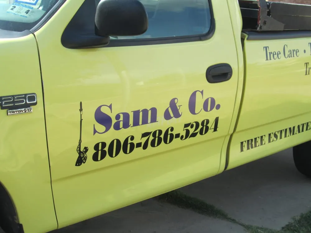 Reliable lawn mowing service for outdoor upgrades in Lubbock, TX by Sam and Co Trees and Landscaping