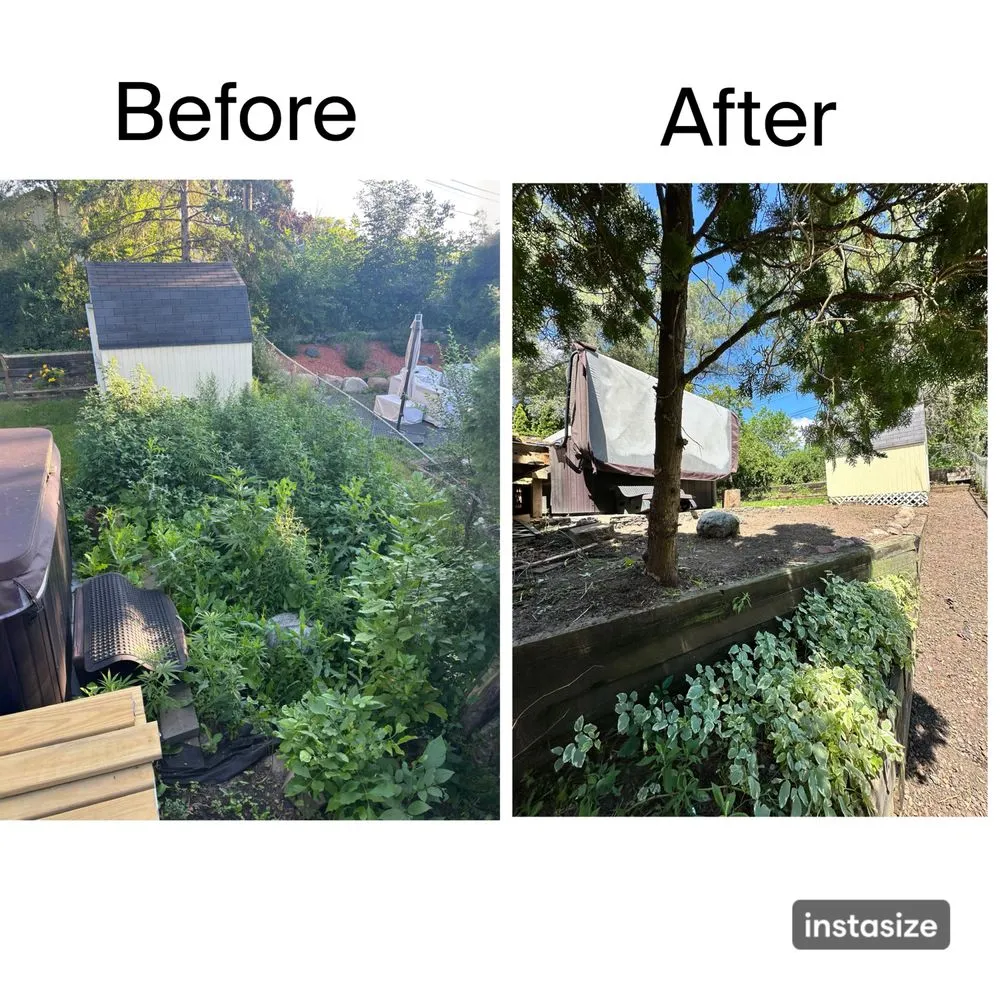 Professional landscape installation in Mounds View, MN by Sam And Leo Landscaping Services