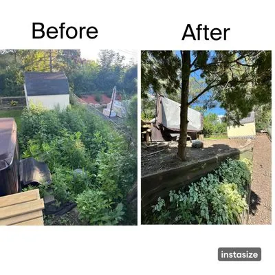 Sam And Leo Landscaping Services