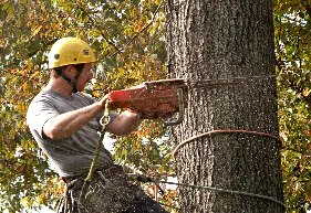 Trusted outdoor landscaping with custom design across District Heights, MD - Sam Barrera Landscapers