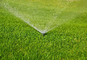 Top-rated landscape installation in District Heights, MD by Sam Barrera Landscapers