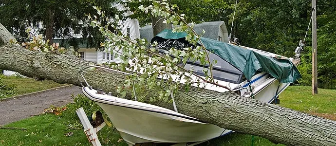 Reliable landscape design in District Heights, MD by Sam Barrera Landscapers