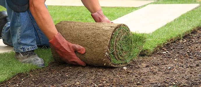 Trusted yard cleanup service in District Heights, MD - Sam Barrera Landscapers