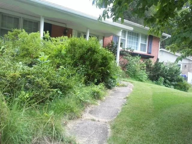 Custom landscaping services for beautiful yards in District Heights, MD by Sam Barrera Landscapers