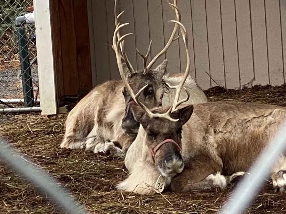 Professional landscape installation in Greenwich, CT - Sam Bridge Nursery & Greenhouses