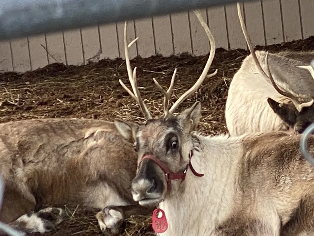 Trusted lawn care service experts serving Greenwich, CT - Sam Bridge Nursery & Greenhouses