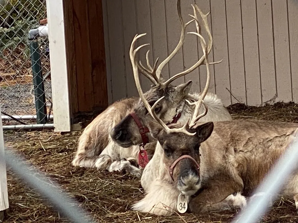 Affordable yard maintenance experts serving Greenwich, CT - Sam Bridge Nursery & Greenhouses