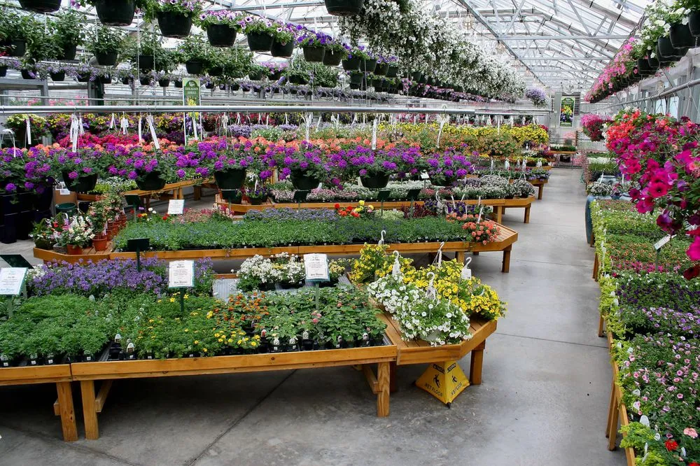 Local outdoor landscaping experts serving Greenwich, CT - Sam Bridge Nursery & Greenhouses