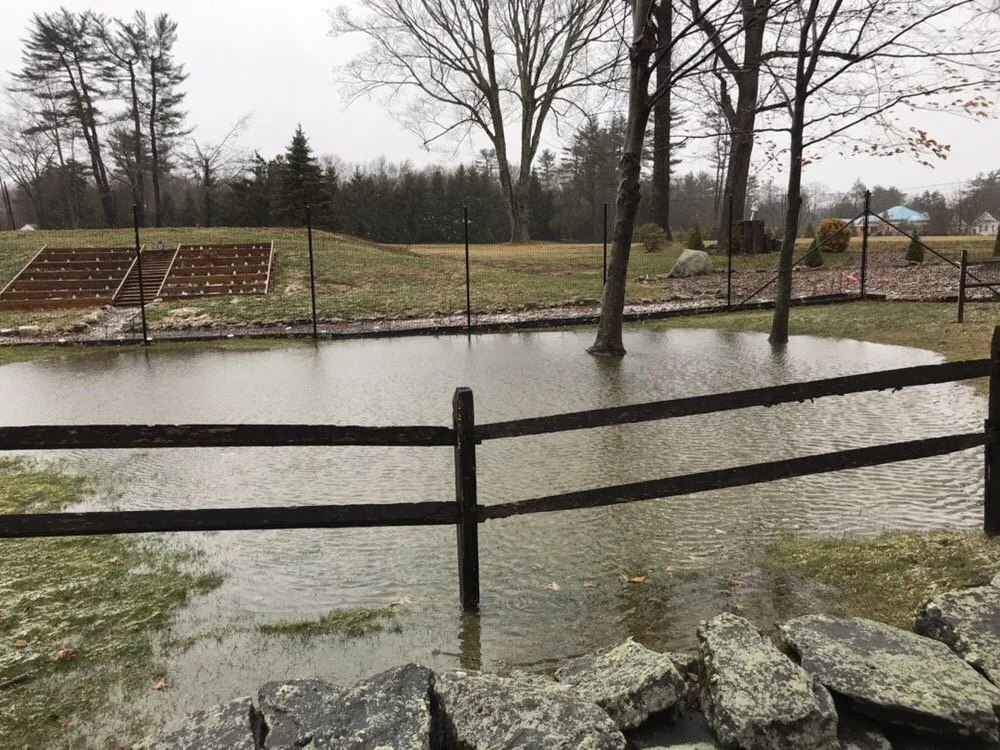 Reliable lawn care service in Greenwich, CT by Sam Bridge Nursery & Greenhouses