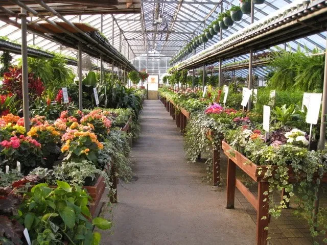 Reliable yard maintenance experts serving Greenwich, CT - Sam Bridge Nursery & Greenhouses