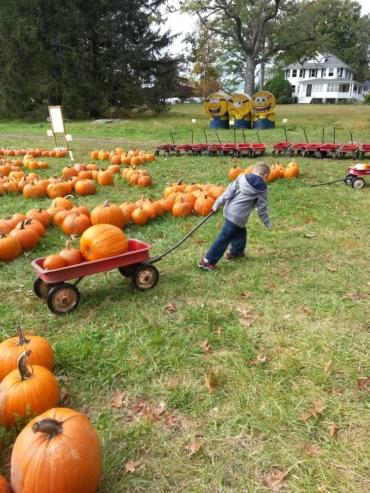 Reliable landscape design experts serving Greenwich, CT - Sam Bridge Nursery & Greenhouses