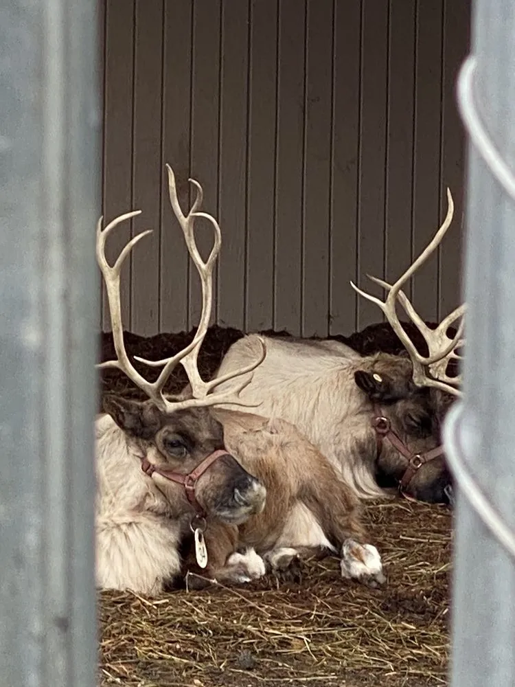 Trusted lawn care service near you in Greenwich, CT by Sam Bridge Nursery & Greenhouses