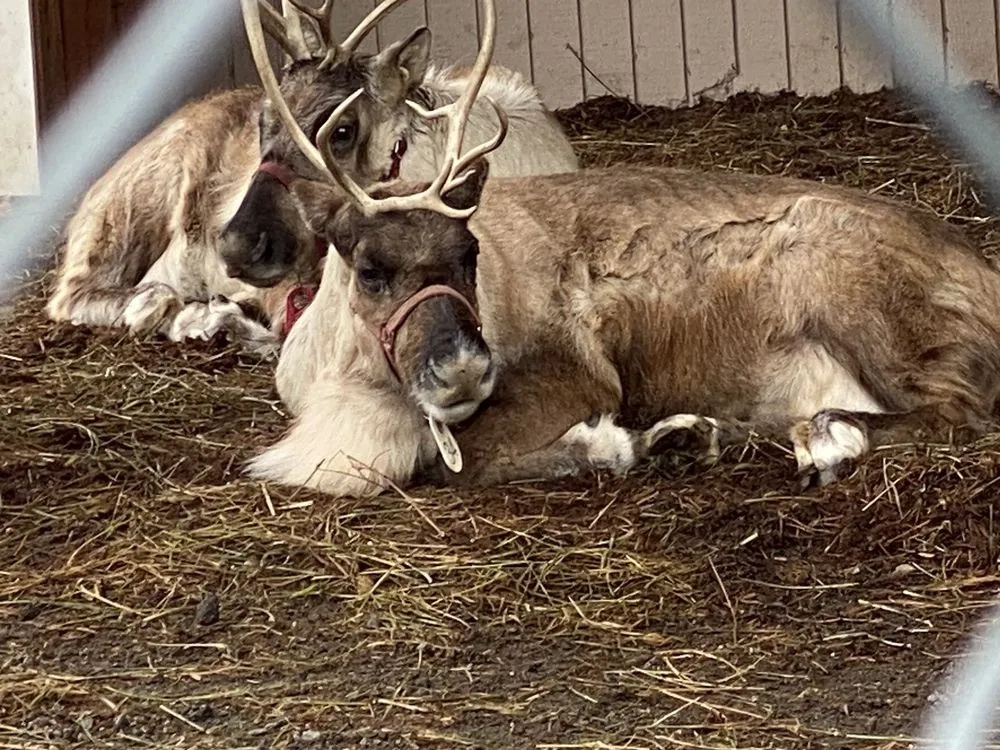 Trusted garden landscaping in Greenwich, CT by Sam Bridge Nursery & Greenhouses