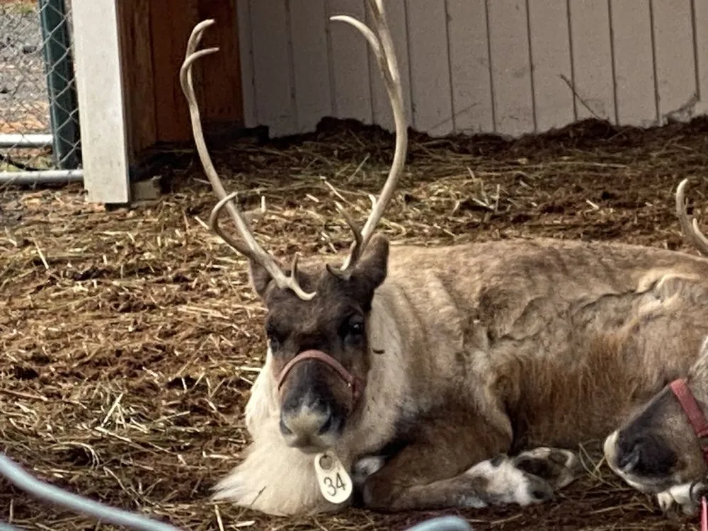 Local garden landscaping experts serving Greenwich, CT - Sam Bridge Nursery & Greenhouses