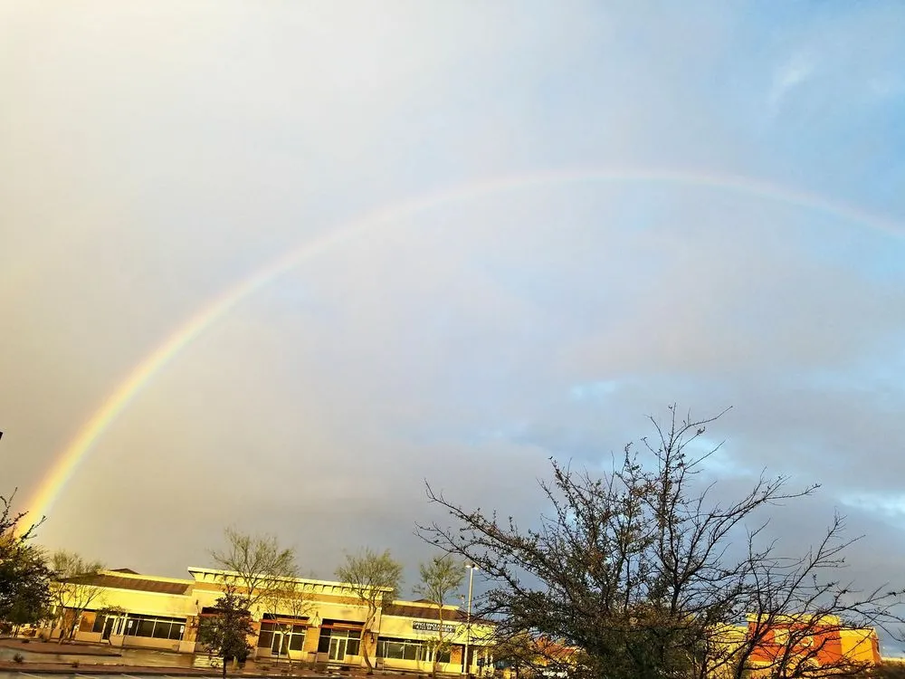 Professional landscape design for year-round maintenance across Maricopa, AZ - Sam Craig Lawn, Sprinklers, and Leaks