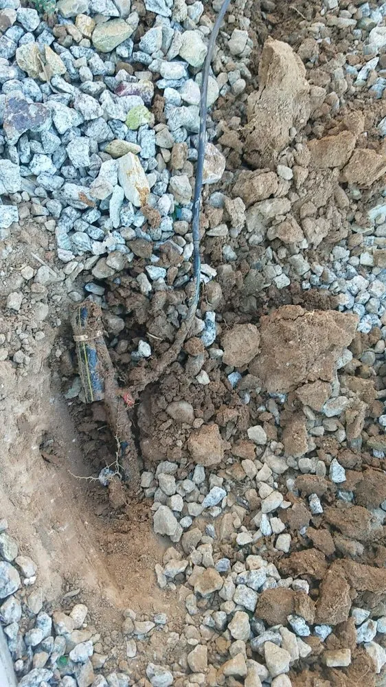 Custom lawn care service for year-round maintenance in Maricopa, AZ by Sam Craig Lawn, Sprinklers, and Leaks