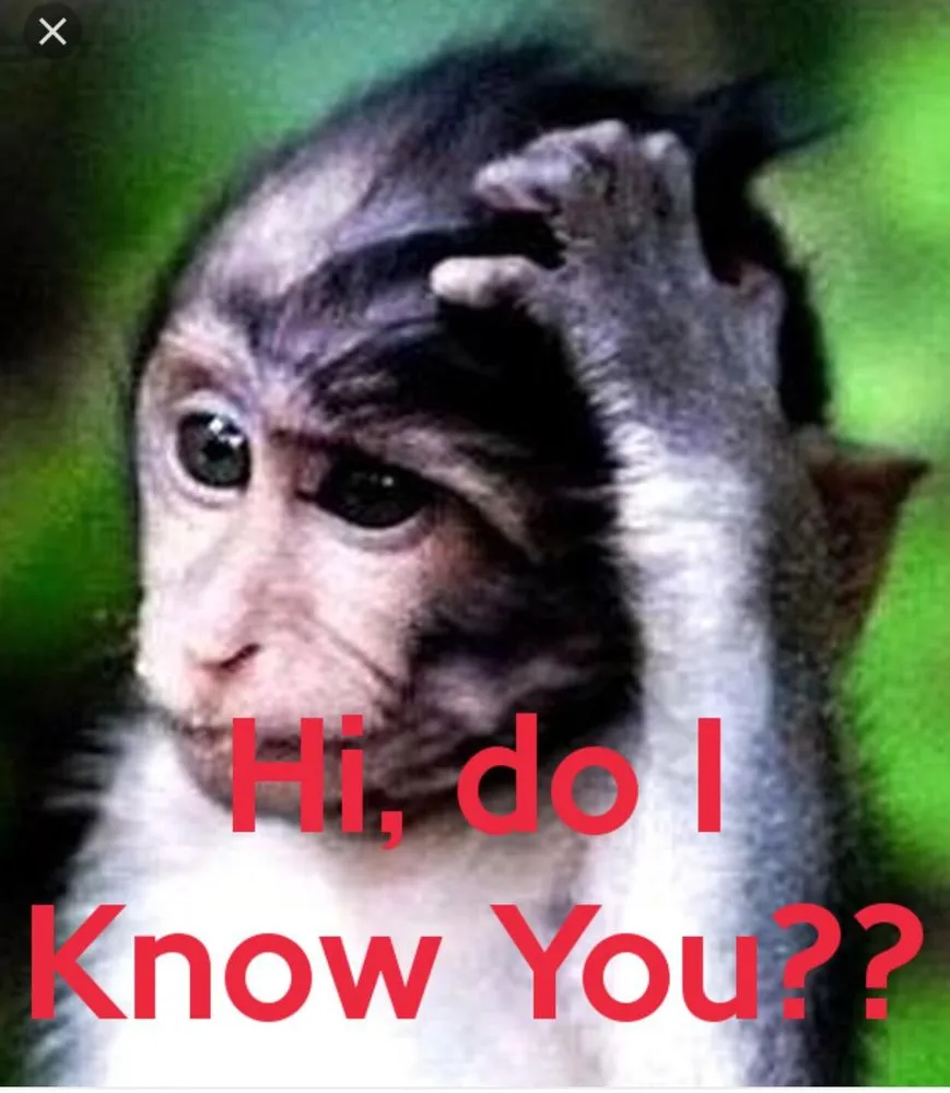 Professional landscaping services in Maricopa, AZ - Sam Craig Lawn, Sprinklers, and Leaks