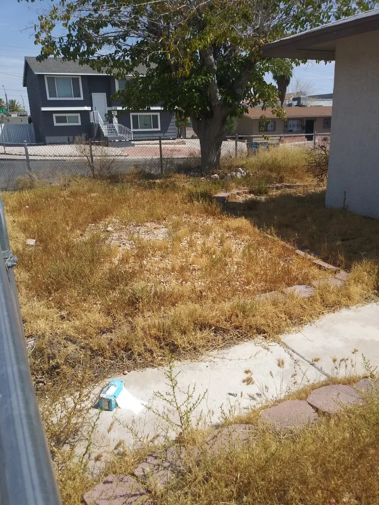 Trusted yard cleanup service for residential properties in Las Vegas, NV by Sam fisher lawn care