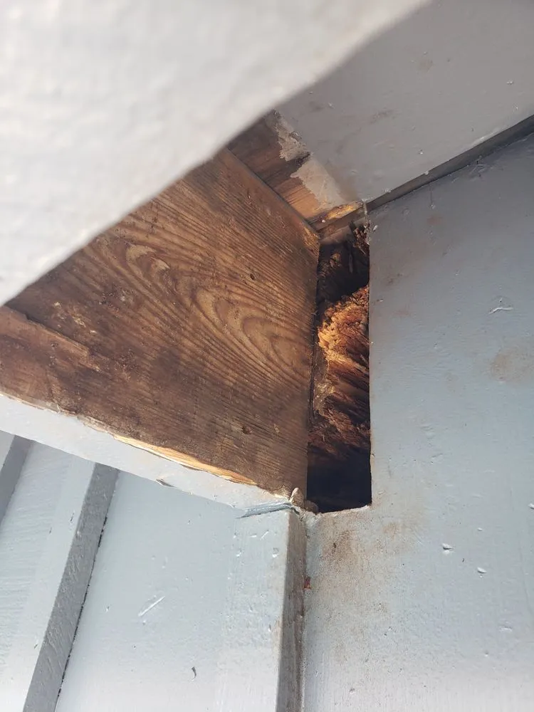 Local garden landscaping in Panama City Beach, FL by Sam G&T