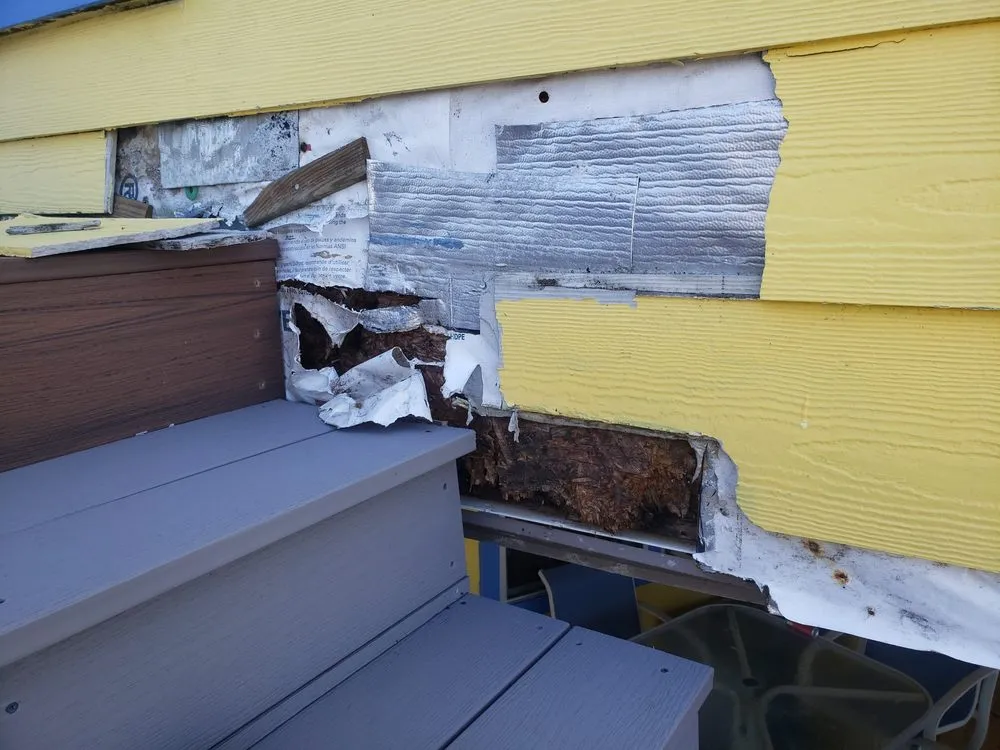 Local landscape design in Panama City Beach, FL - Sam G&T