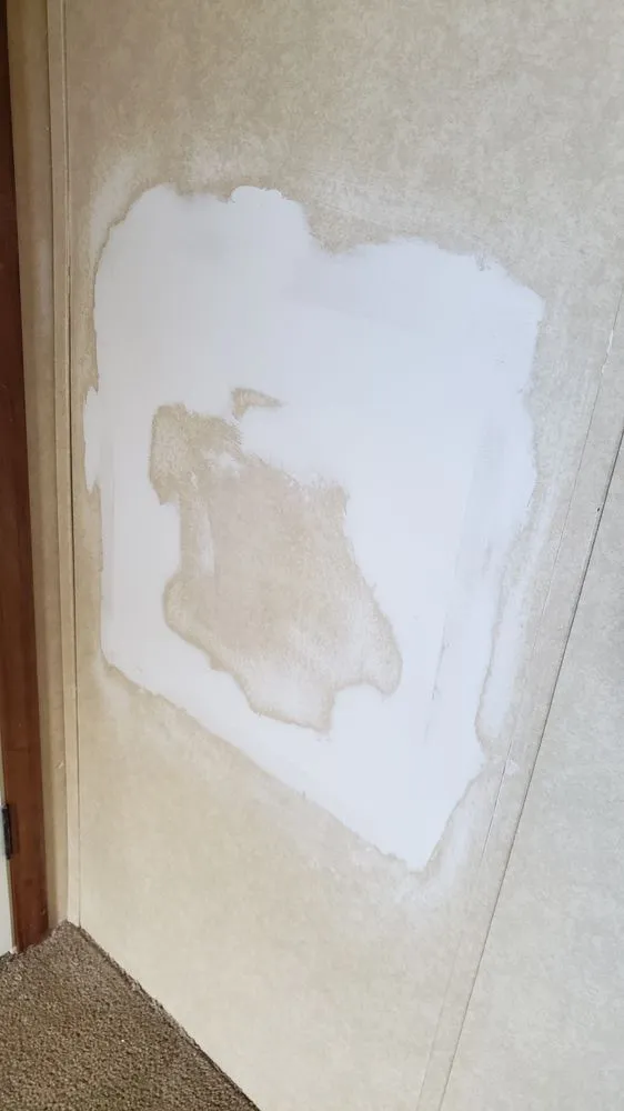 Custom yard cleanup service for outdoor upgrades across Panama City Beach, FL - Sam G&T